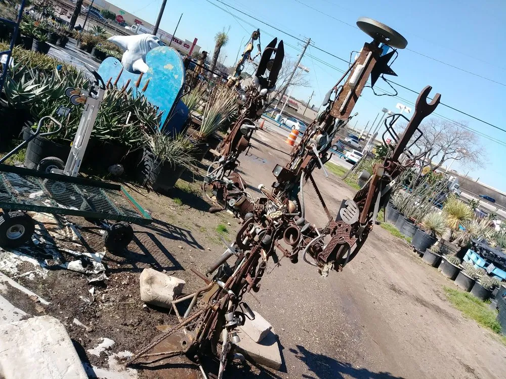 Custom yard cleanup service in Houston, TX by The Cactus King