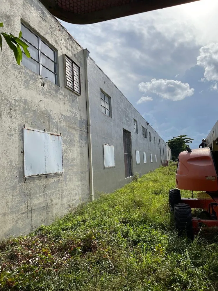 Affordable landscaping services experts serving Blue bell, PA - The Caribbean Pro Painter