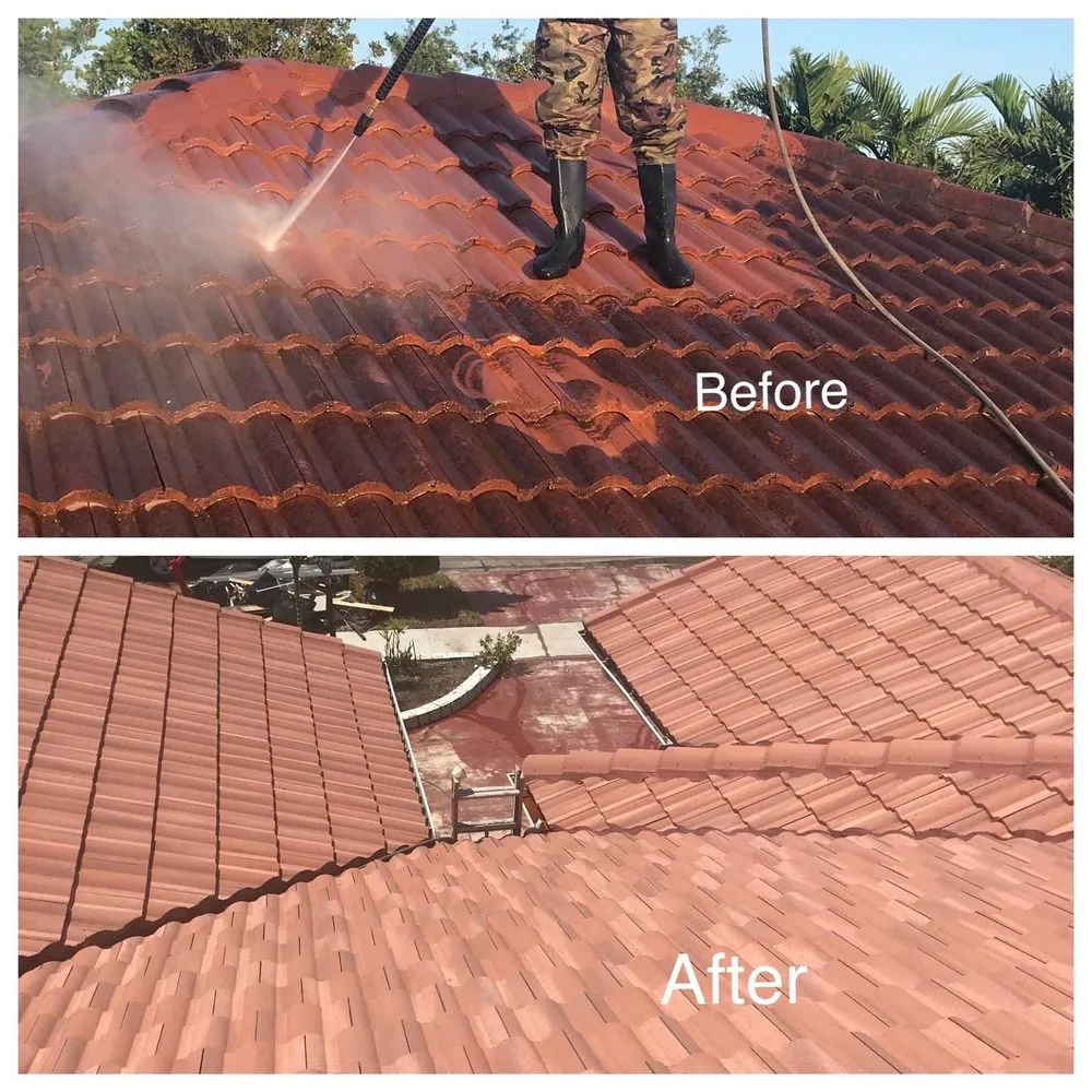 Top-rated yard maintenance experts serving Blue bell, PA - The Caribbean Pro Painter