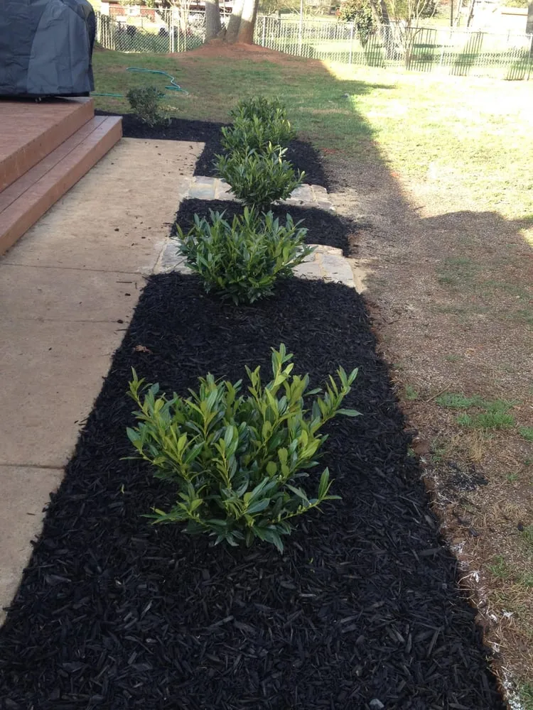 Trusted garden landscaping for residential properties in Cornelius, NC by The Carolina Lawn