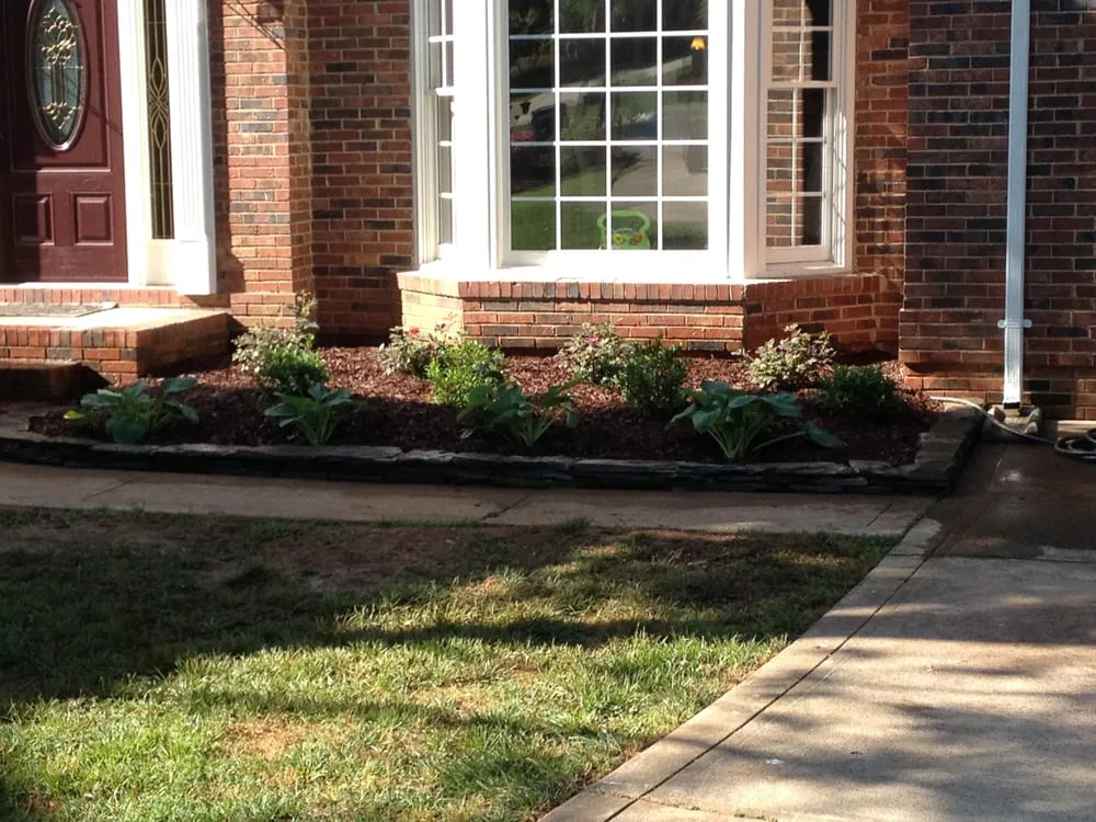 Affordable yard cleanup service experts serving Cornelius, NC - The Carolina Lawn