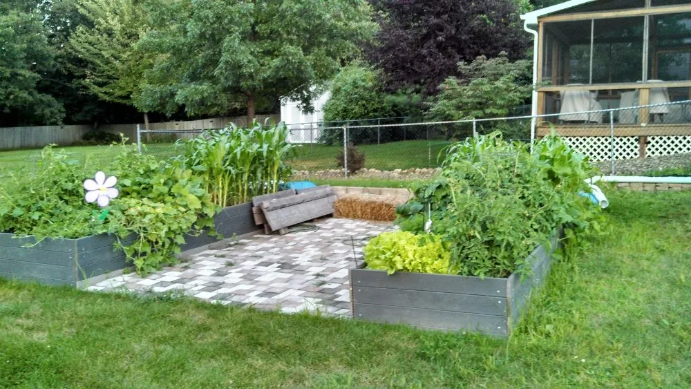 Reliable yard cleanup service for homes across Burnham, ME - The Carroll's