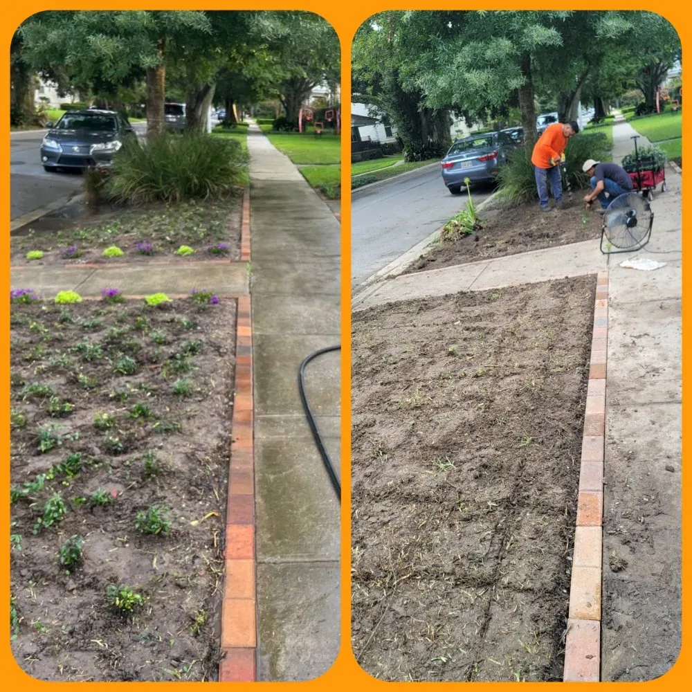Local landscape installation for year-round maintenance across Gretna, LA - The Castro's Power