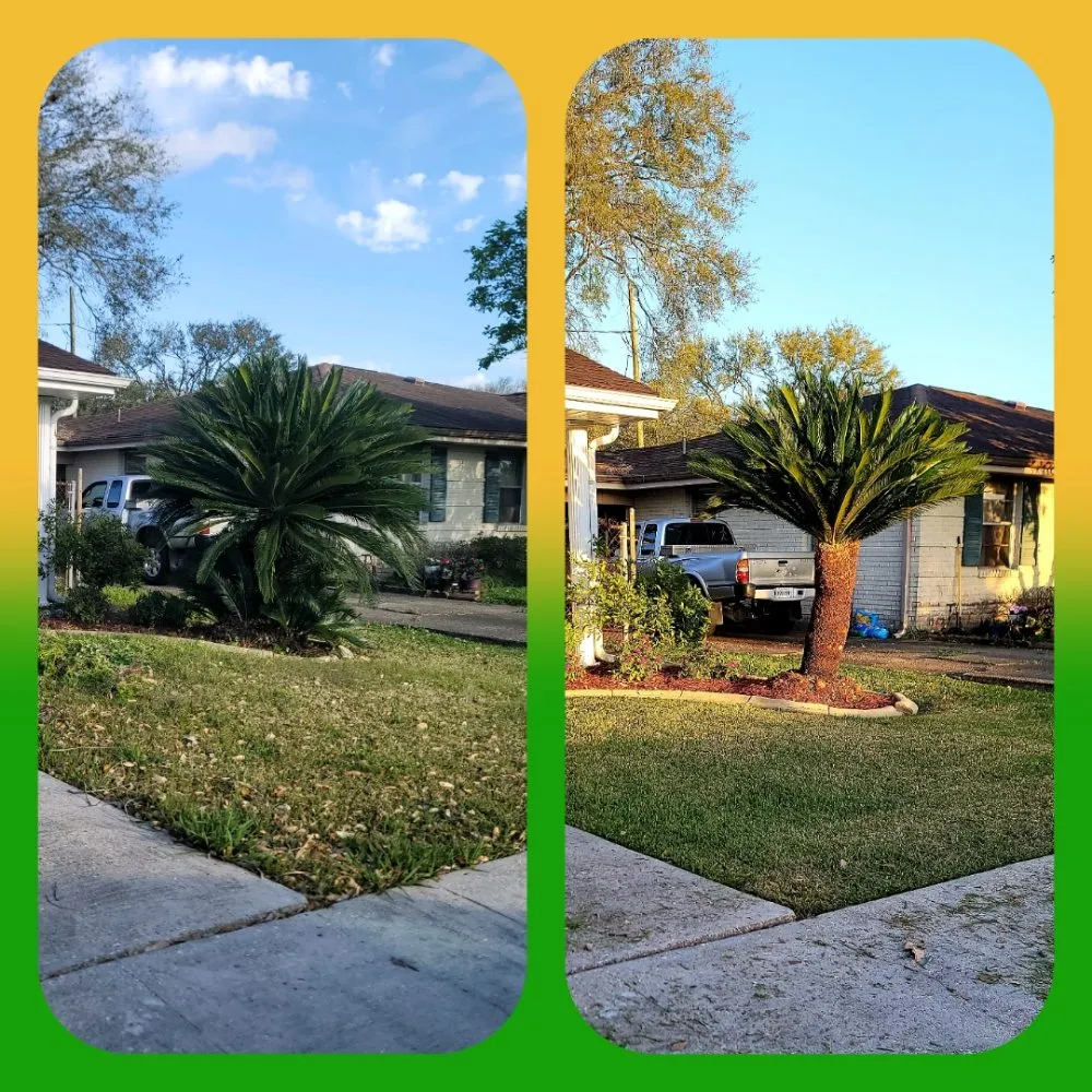 Professional yard cleanup service experts serving Gretna, LA - The Castro's Power