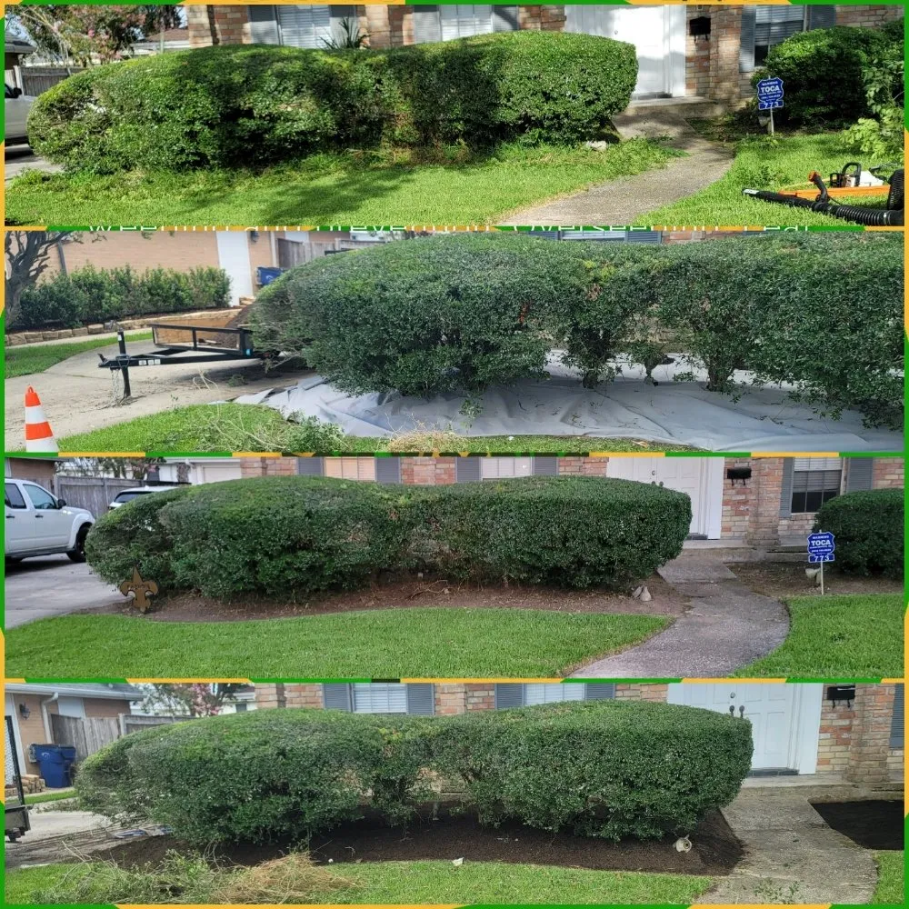 Top-rated landscape design experts serving Gretna, LA - The Castro's Power