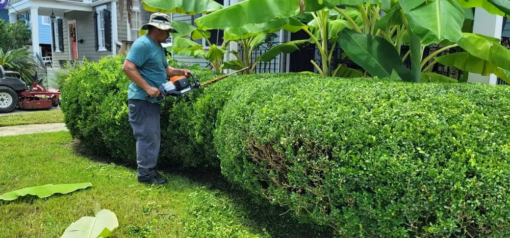 Local landscape design for beautiful yards in Gretna, LA by The Castro's Power