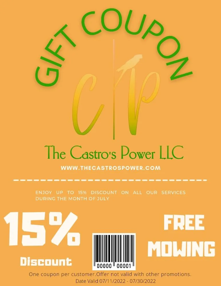 Trusted yard cleanup service in Gretna, LA by The Castro's Power