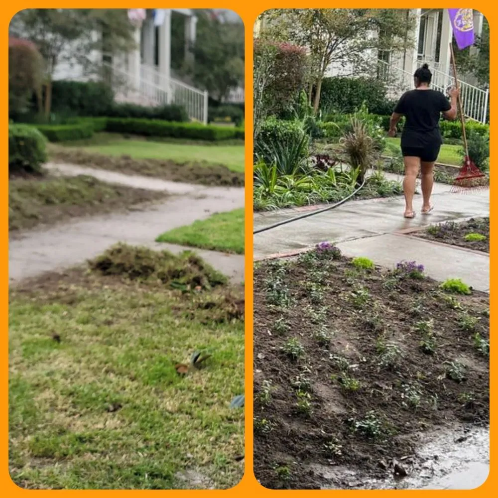 Expert residential landscaping for year-round maintenance across Gretna, LA - The Castro's Power