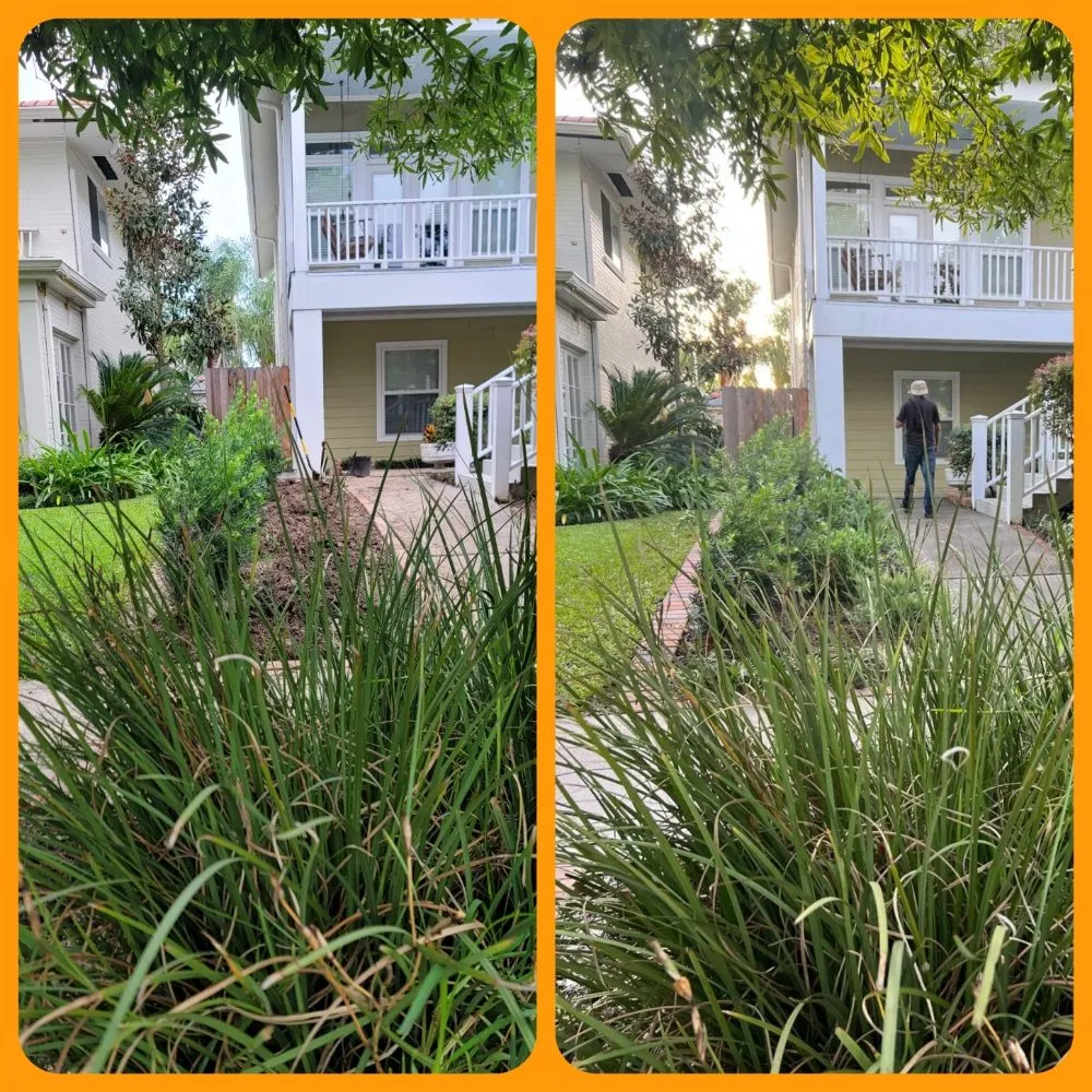 Affordable residential landscaping experts serving Gretna, LA - The Castro's Power