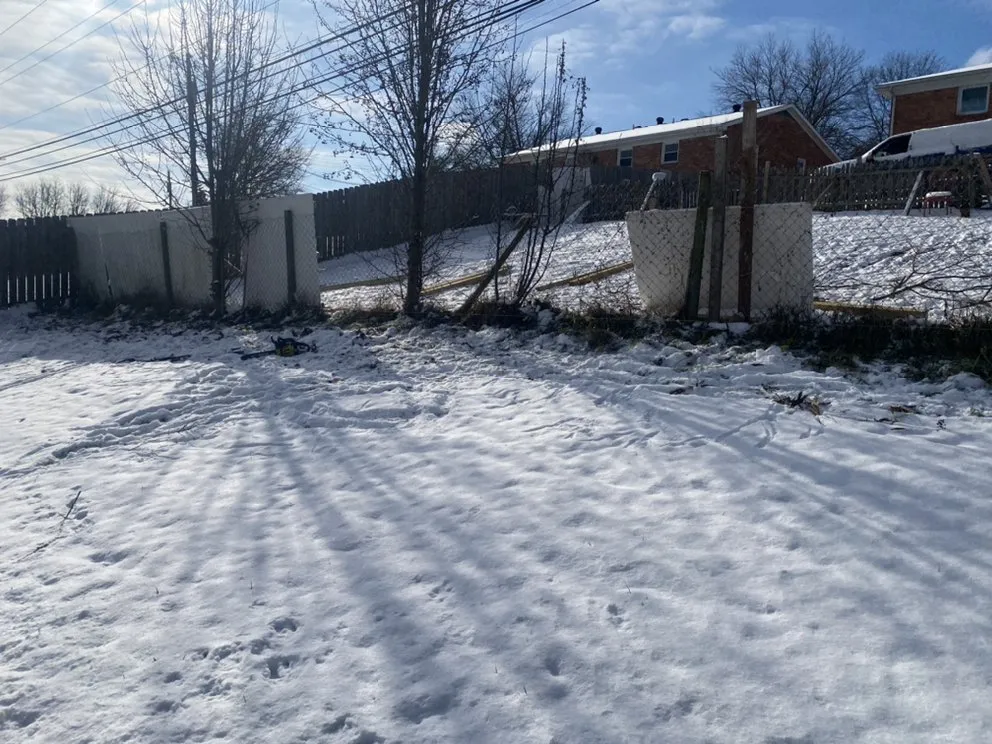Custom lawn care service experts serving Lexington-Fayette, KY - The Cat Landscaping and Tree Service