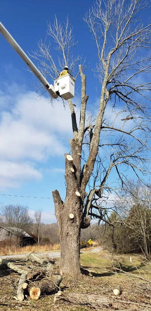 Professional landscape installation experts serving Lexington-Fayette, KY - The Cat Landscaping and Tree Service