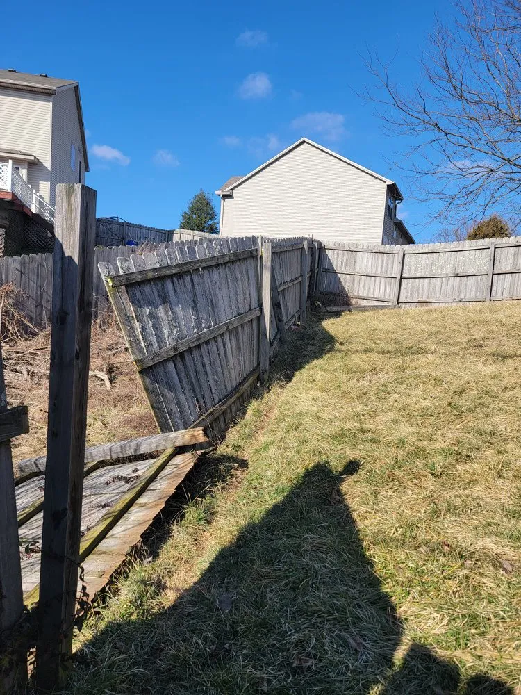 Expert outdoor landscaping for outdoor upgrades across Lexington-Fayette, KY - The Cat Landscaping and Tree Service