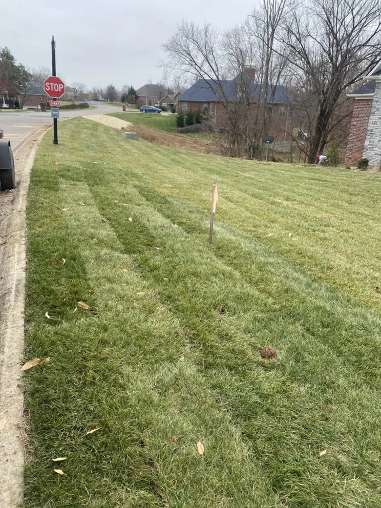Trusted residential landscaping in Lexington-Fayette, KY - The Cat Landscaping and Tree Service