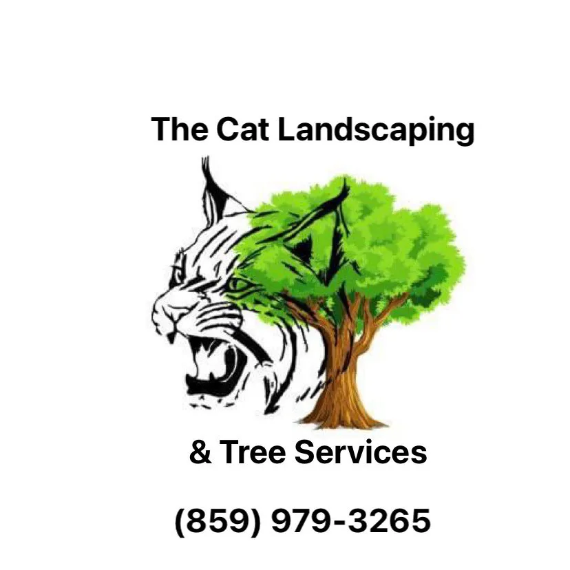 Expert lawn care service in Lexington-Fayette, KY by The Cat Landscaping and Tree Service
