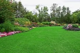 Professional lawn care service for year-round maintenance in Havre, MT by The Cavalry
