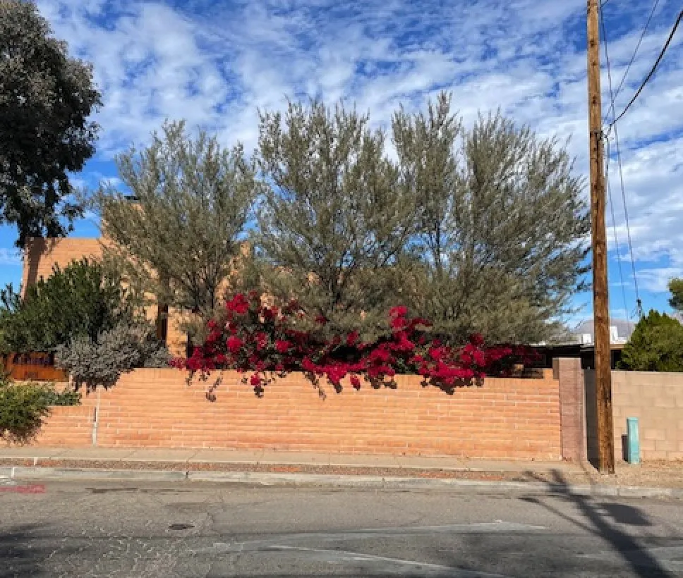 Affordable garden landscaping in Tucson, AZ by The Certified Arborist