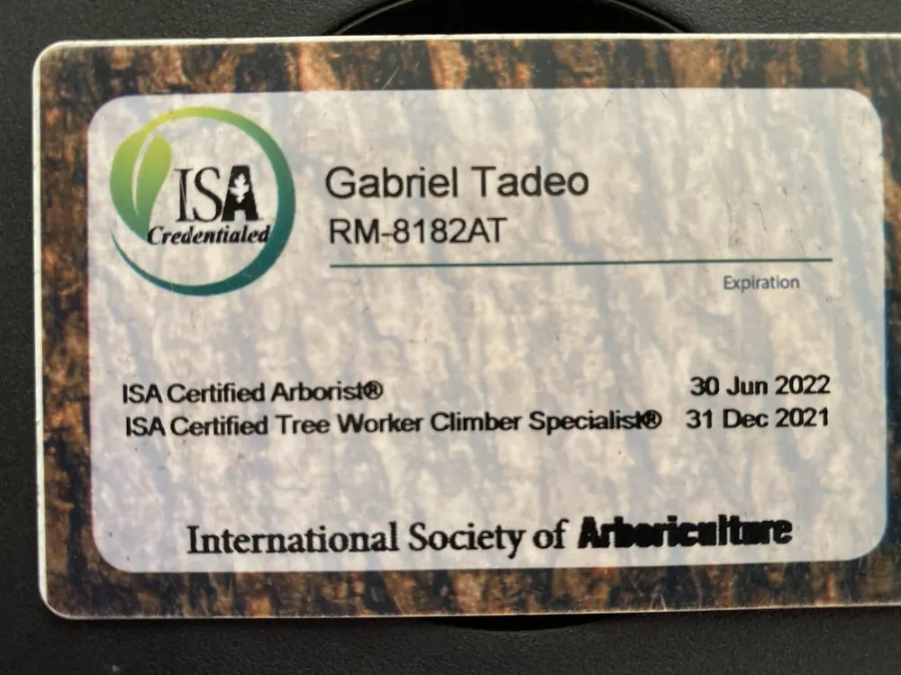 Affordable landscape installation for homes in Tucson, AZ by The Certified Arborist