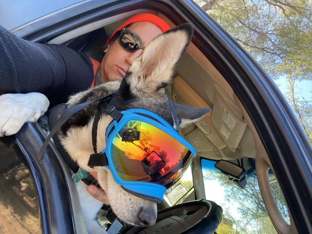 Affordable landscaping services for beautiful yards across Tucson, AZ - The Certified Arborist