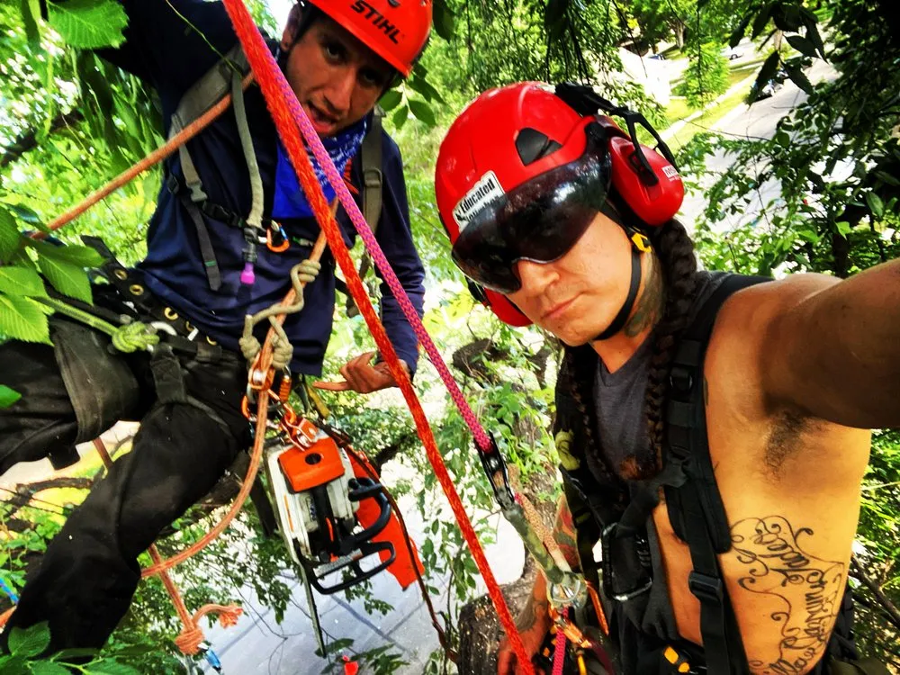 Affordable garden landscaping experts serving Tucson, AZ - The Certified Arborist