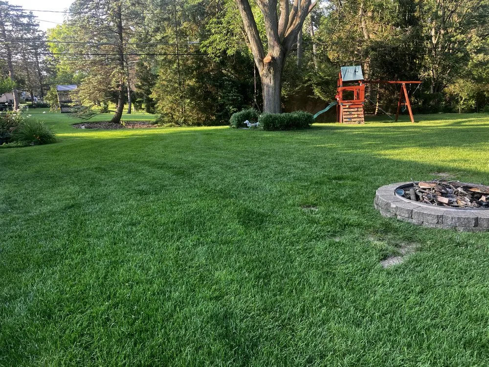 Top-rated outdoor landscaping in Detroit, MI by The Chop Shop