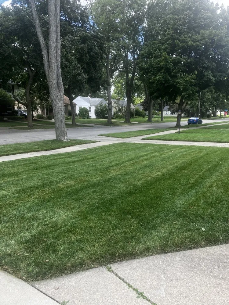 Top-rated lawn care service in Detroit, MI by The Chop Shop