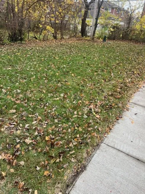 Expert landscape design in Detroit, MI - The Chop Shop