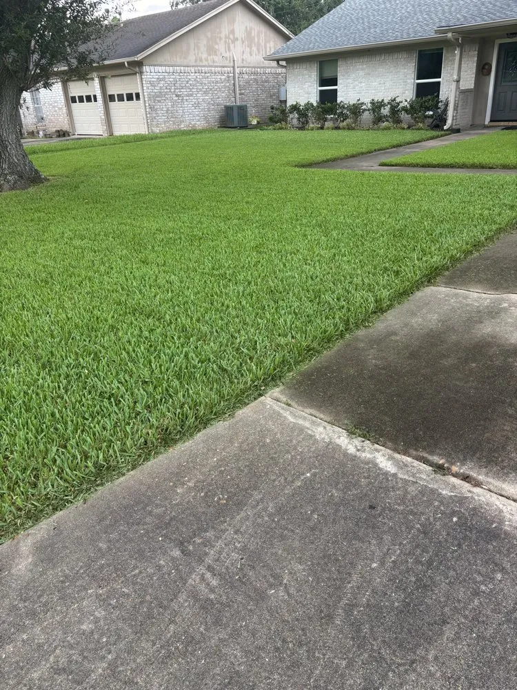Affordable landscaping services for year-round maintenance across League City, TX - The Chosen Lawn Care