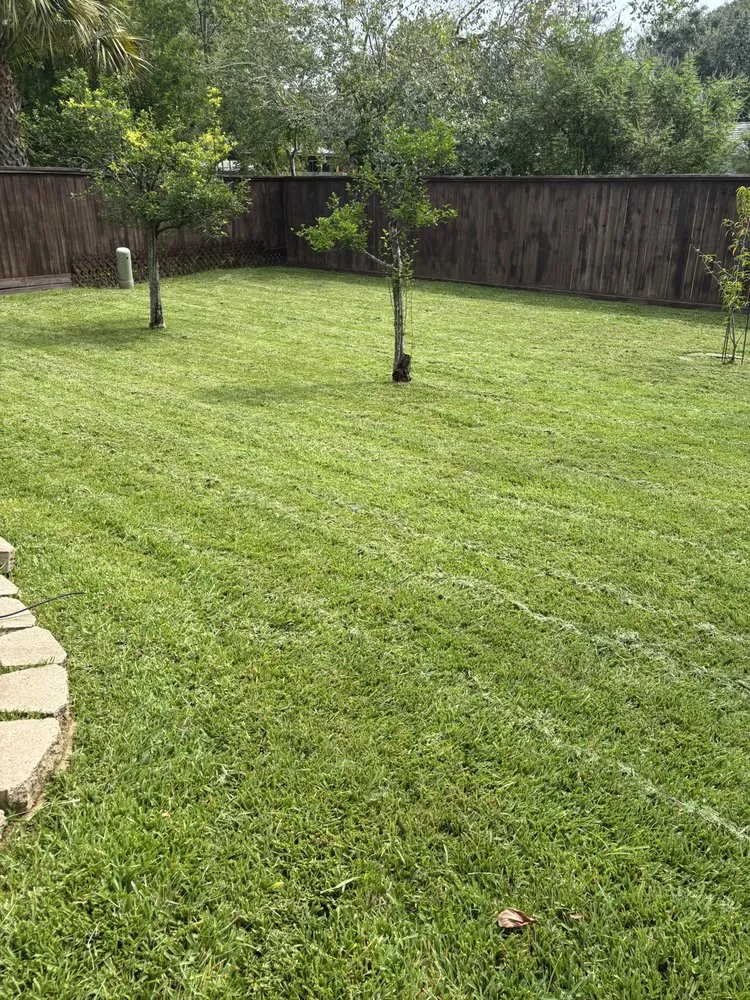 Expert lawn mowing service in League City, TX - The Chosen Lawn Care