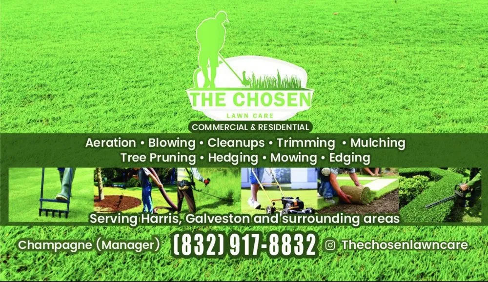Trusted outdoor landscaping experts serving League City, TX - The Chosen Lawn Care
