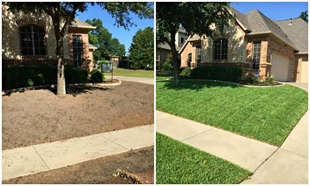 Reliable landscaping services in Keller, TX by The Chowtreez Landscaping Full Lawn Services