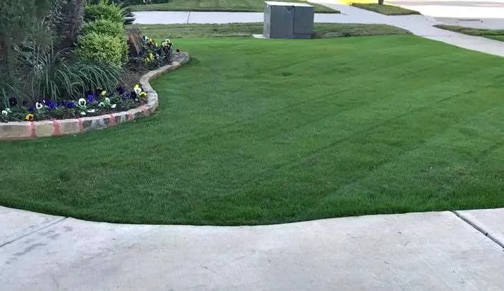 Professional yard cleanup service experts serving Keller, TX - The Chowtreez Landscaping Full Lawn Services