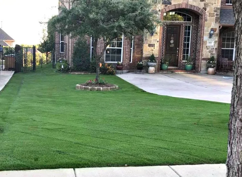Custom landscaping services experts serving Keller, TX - The Chowtreez Landscaping Full Lawn Services