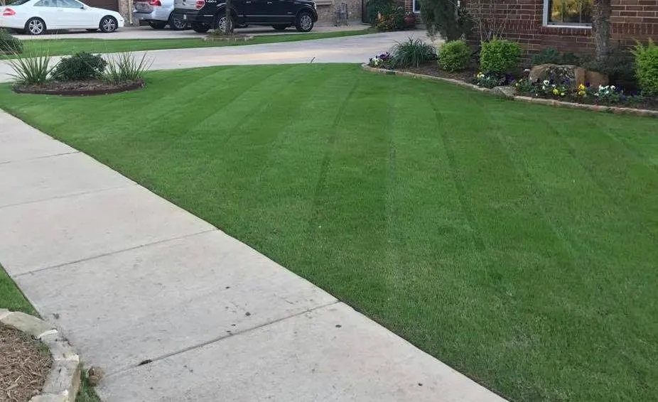 Top-rated residential landscaping for outdoor upgrades in Keller, TX by The Chowtreez Landscaping Full Lawn Services