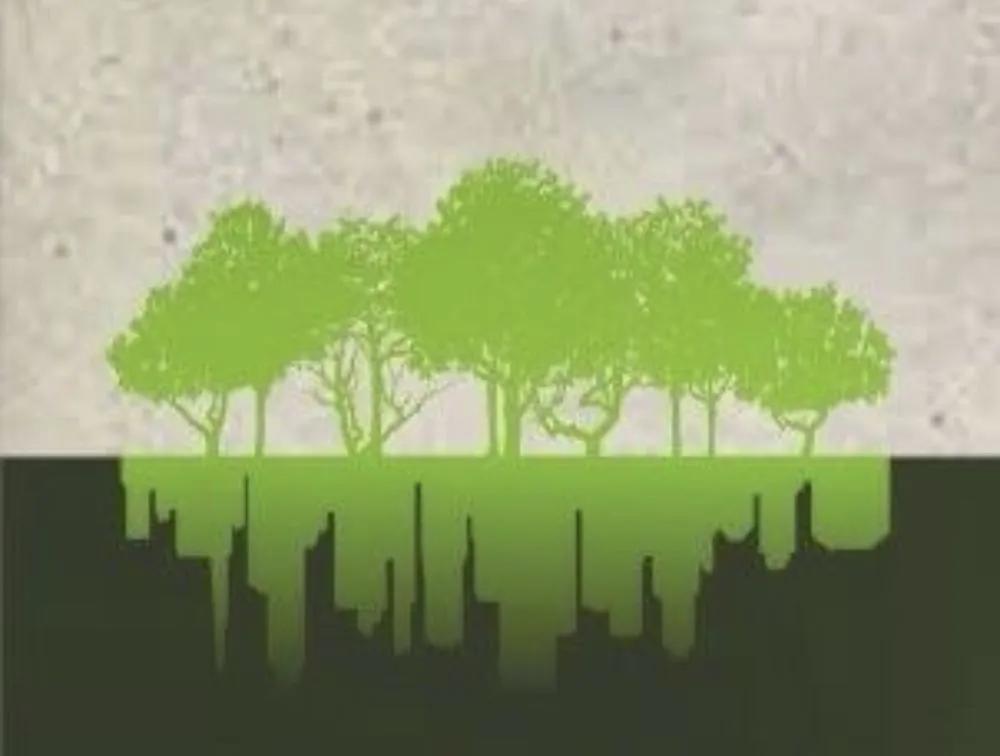 Expert landscape installation for residential properties in Travelers Rest, SC by The City Arborist