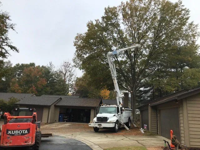Affordable outdoor landscaping near you across Travelers Rest, SC - The City Arborist