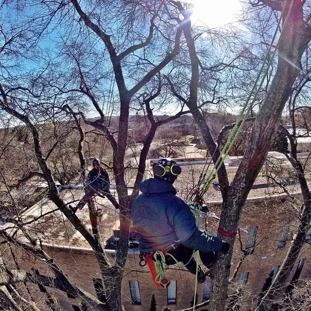 Reliable residential landscaping experts serving Travelers Rest, SC - The City Arborist