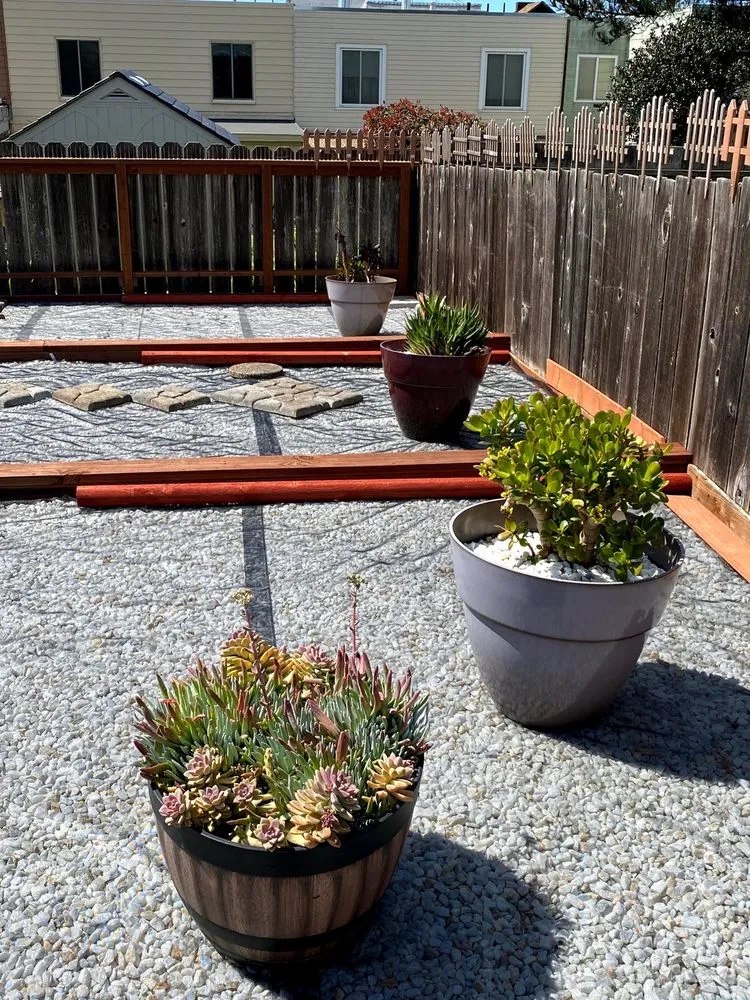 Reliable landscape design experts serving San Francisco, CA - The City Lawn