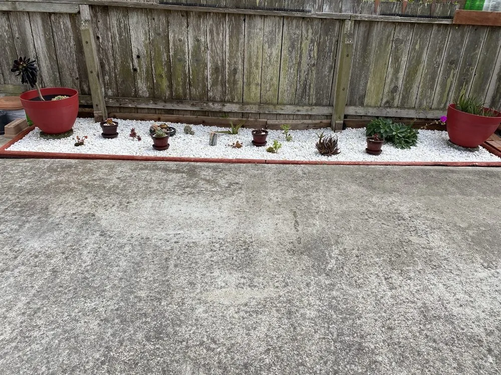 Reliable residential landscaping for year-round maintenance in San Francisco, CA by The City Lawn