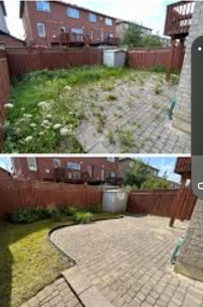 Top-rated yard cleanup service in Fisher, WV by The Cleaning Fairy