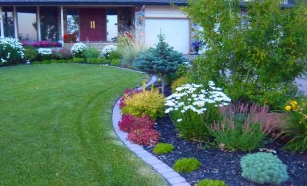 Local lawn mowing service in Morristown, TN by The cleaning pros