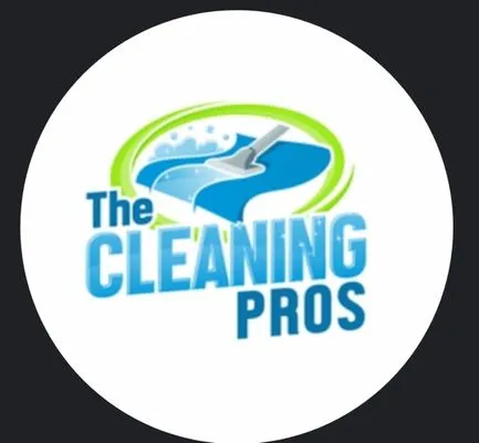 The cleaning pros Logo