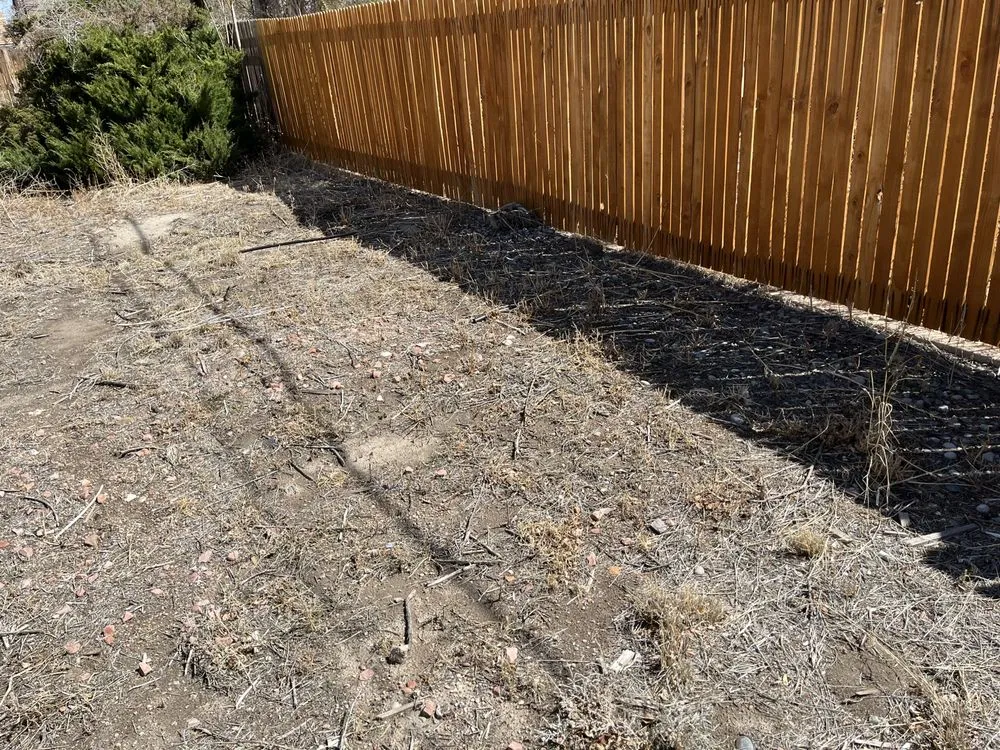 Reliable garden landscaping experts serving Pueblo, CO - The Cleanup Guys