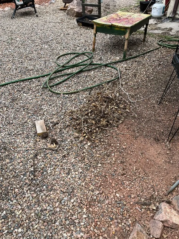 Reliable lawn care service in Pueblo, CO - The Cleanup Guys