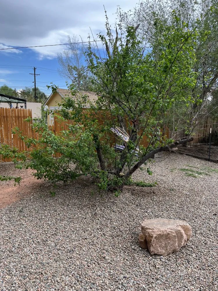 Reliable landscape design near you across Pueblo, CO - The Cleanup Guys