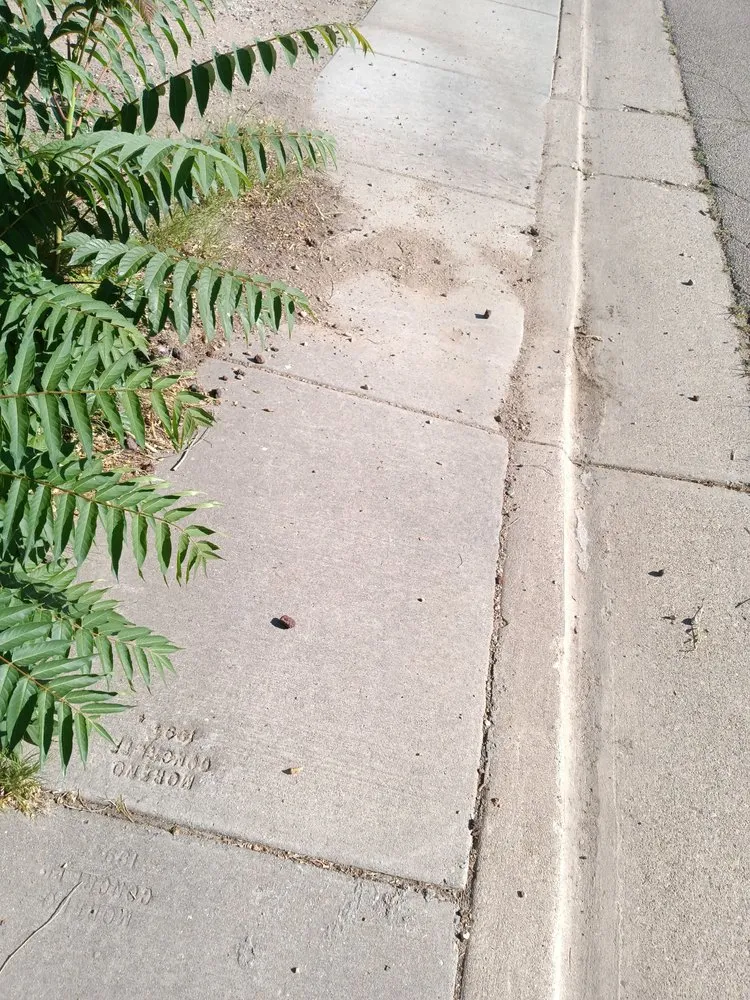 Reliable landscape installation with custom design in Pueblo, CO by The Cleanup Guys