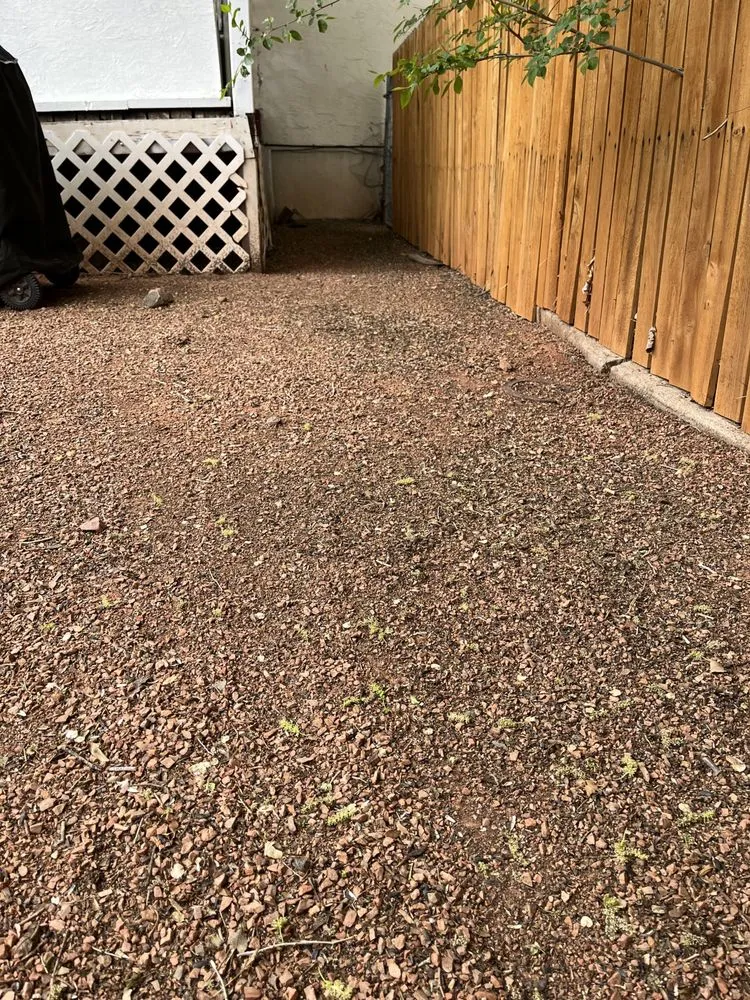 Expert landscaping services in Pueblo, CO by The Cleanup Guys