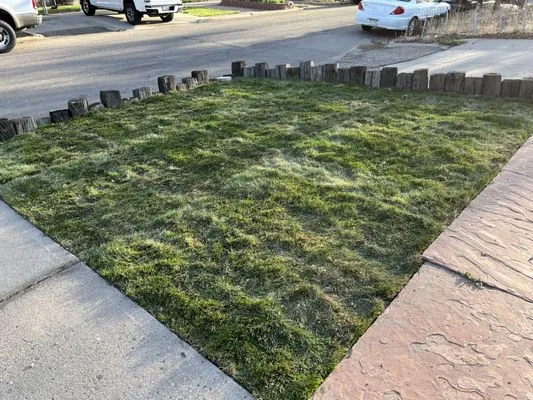 The Cleanup Guys Logo