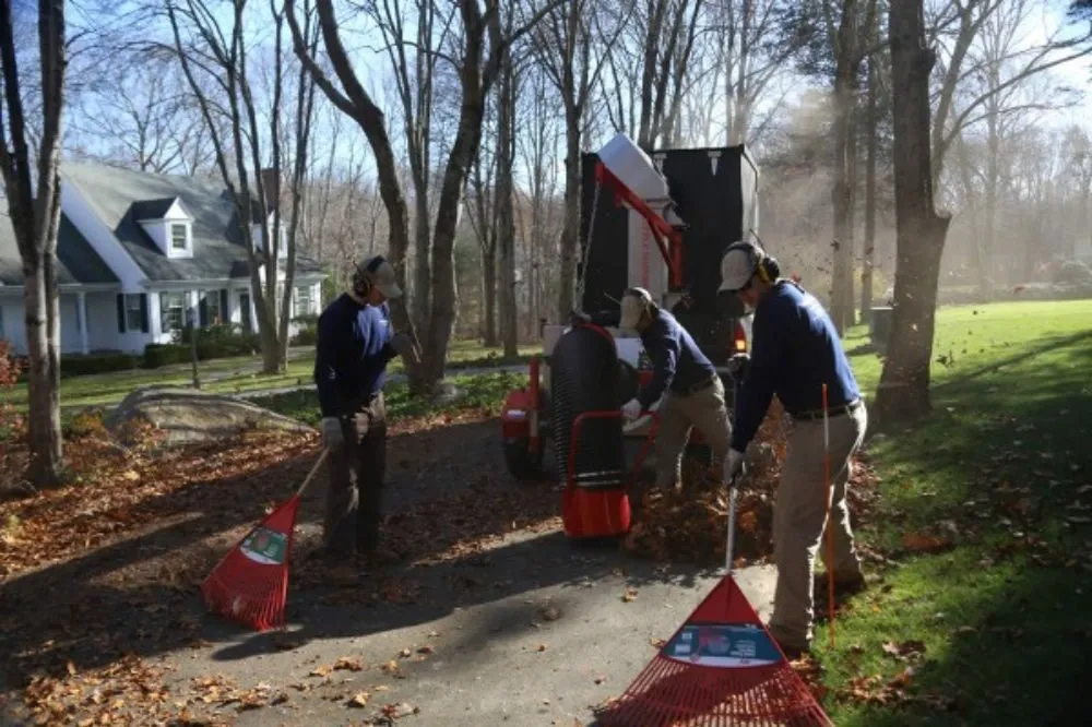 Custom lawn care service near you in Columbus, OH by The Clover Landscape