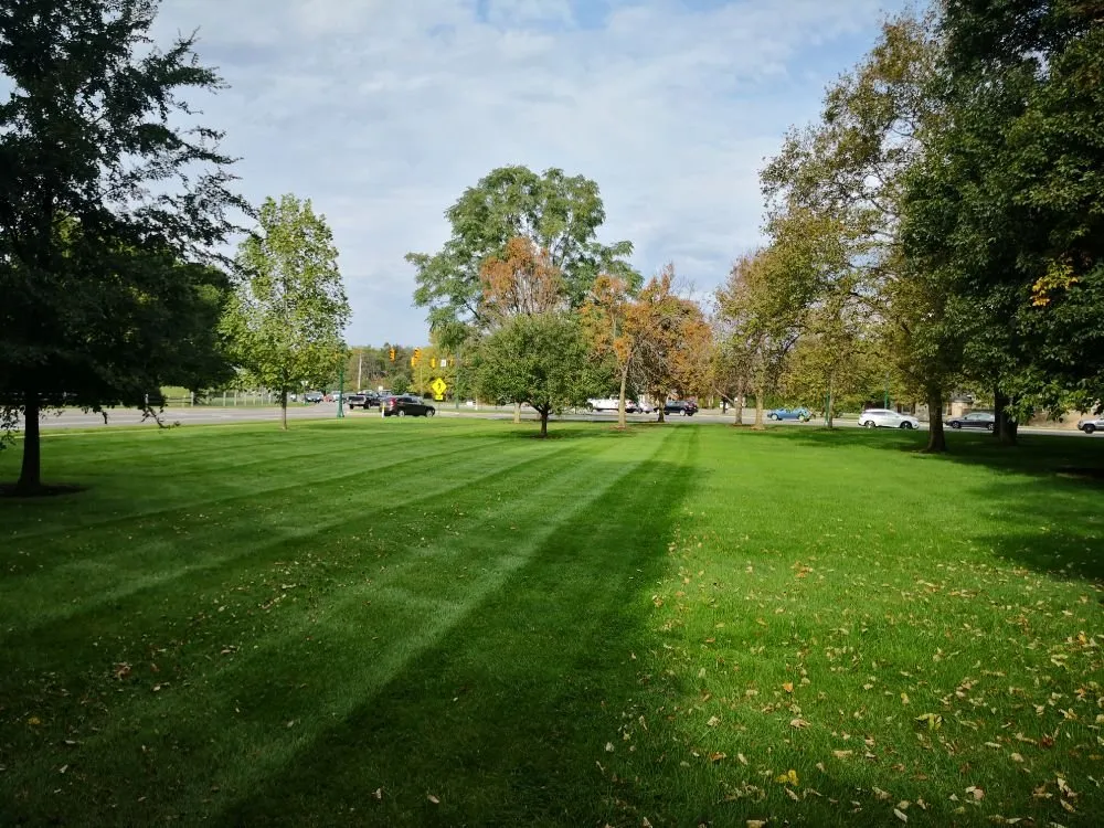 Top-rated residential landscaping in Columbus, OH by The Clover Landscape