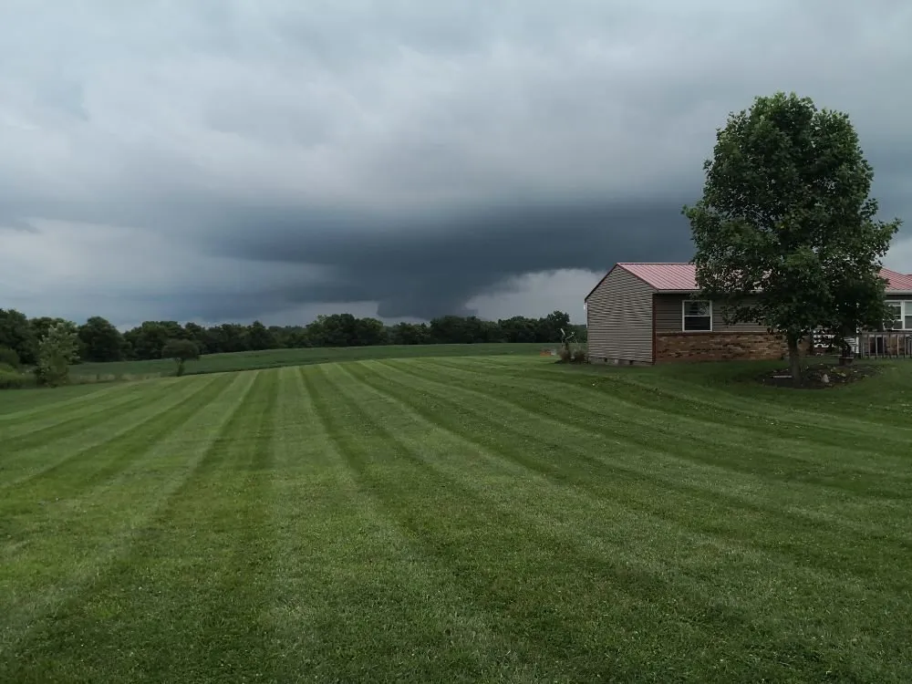 Expert yard cleanup service for outdoor upgrades across Columbus, OH - The Clover Landscape